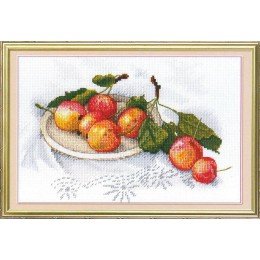 MP Studia - Taste of apples