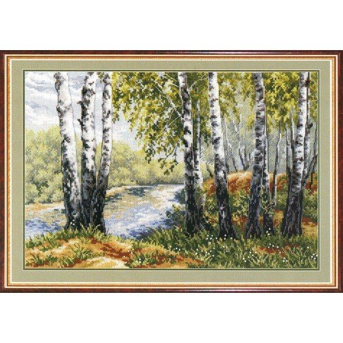 MP Studia - In the birch shadow