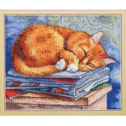 MP Studia - Studying cat