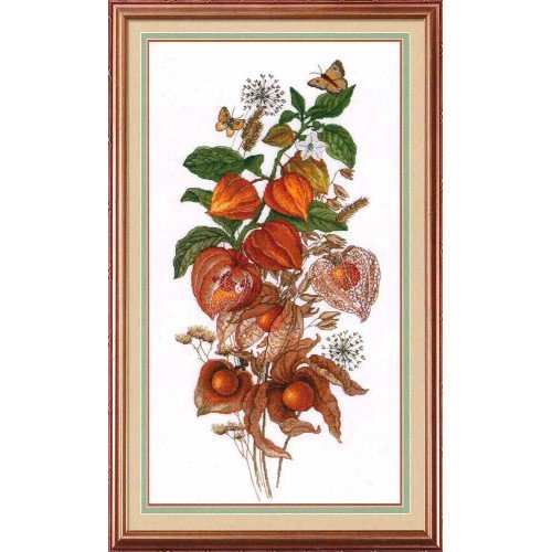 MP Studia - Emerald berry