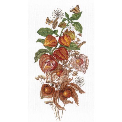 MP Studia - Emerald berry