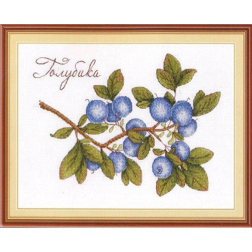 MP Studia - Blueberries