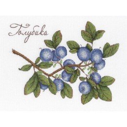 MP Studia - Blueberries