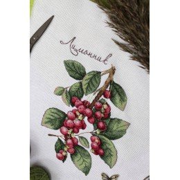 MP Studia - Schisandra