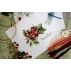 MP Studia - Dogrose