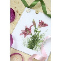 MP Studia - Soft lilies