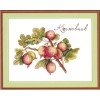 MP Studia - Gooseberry