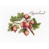 MP Studia - Gooseberry