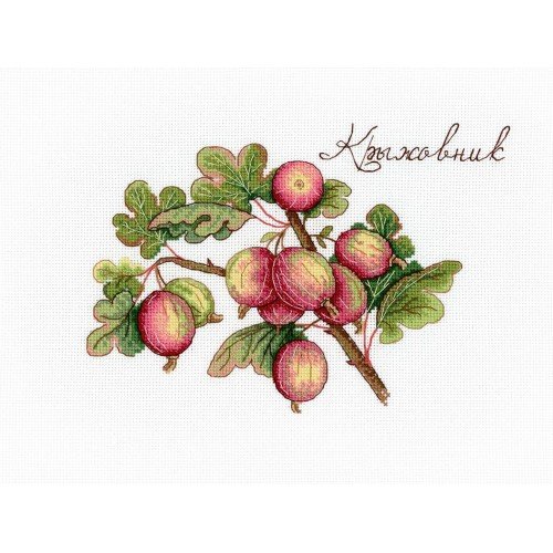 MP Studia - Gooseberry