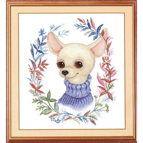 MP Studia - Friendly look