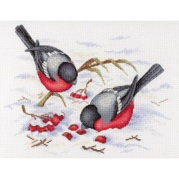 MP Studia - Winter berries