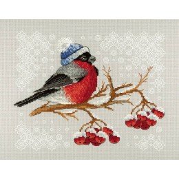 MP Studia - Winter colours