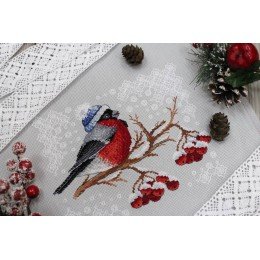 MP Studia - Winter colours