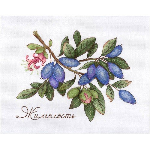 MP Studia - Honeysuckle