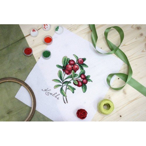 MP Studia - Cranberry