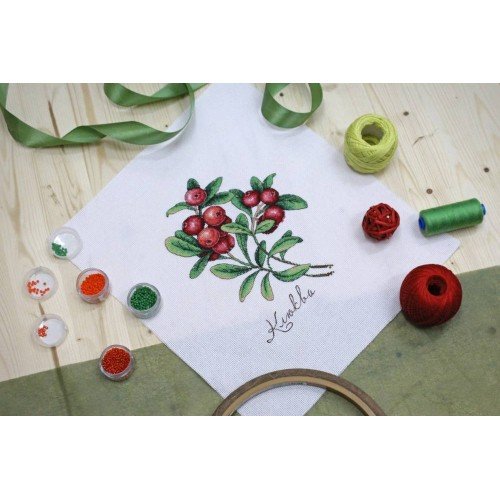 MP Studia - Cranberry