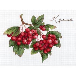 MP Studia - Viburnum