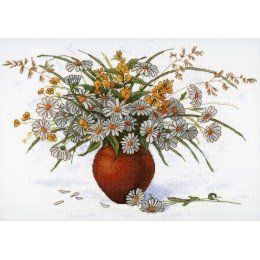 MP Studia - Soft still life