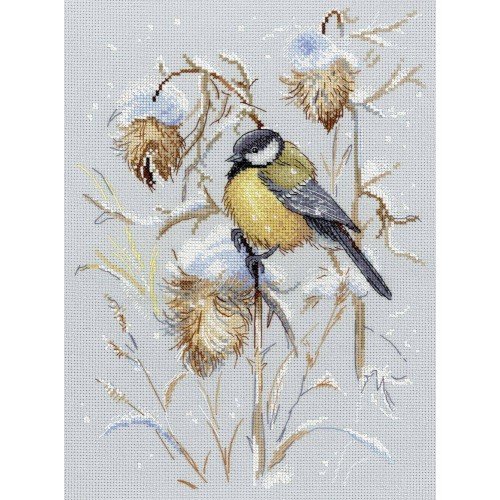 MP Studia - Snow time