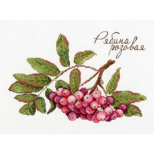 MP Studia - Gifts of nature. Pink rowan