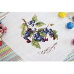 MP Studia - Gifts of nature. Black currant