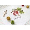 MP Studia - Gifts of nature. Red currant