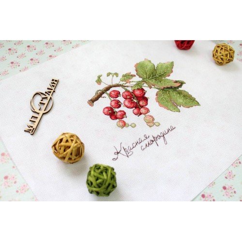 MP Studia - Gifts of nature. Red currant