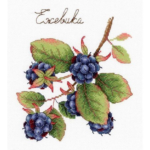 MP Studia - Gifts of nature. Blackberry