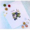 MP Studia - Gifts of nature. Blackberry