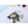 MP Studia - Gifts of nature. Blackberry