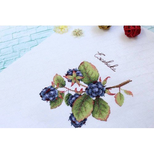 MP Studia - Gifts of nature. Blackberry
