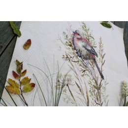 MP Studia - First snow