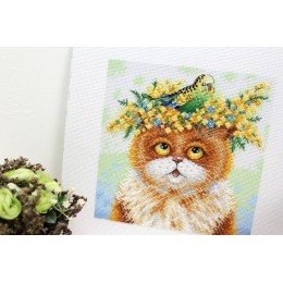 MP Studia - The story of one friendship