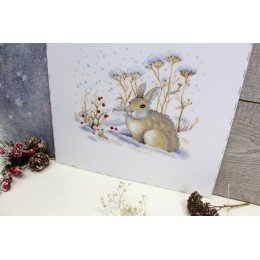 MP Studia - Hare gourmet