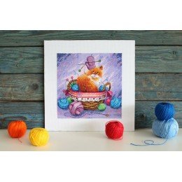 MP Studia - Kitten on the beach