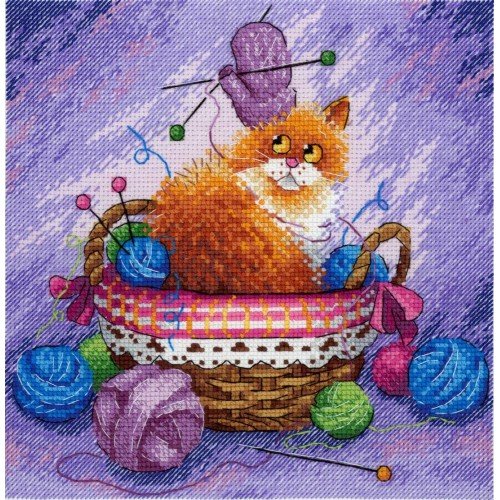 MP Studia - Kitten on the beach