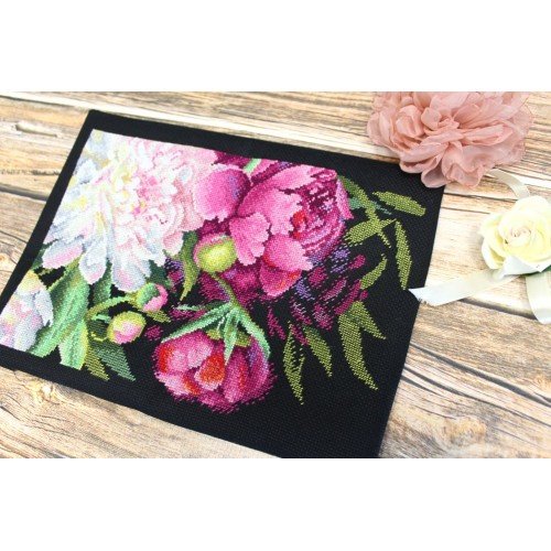 MP Studia - Royal peonies