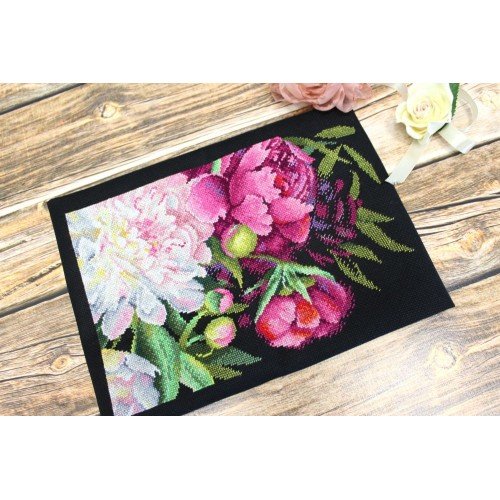 MP Studia - Royal peonies