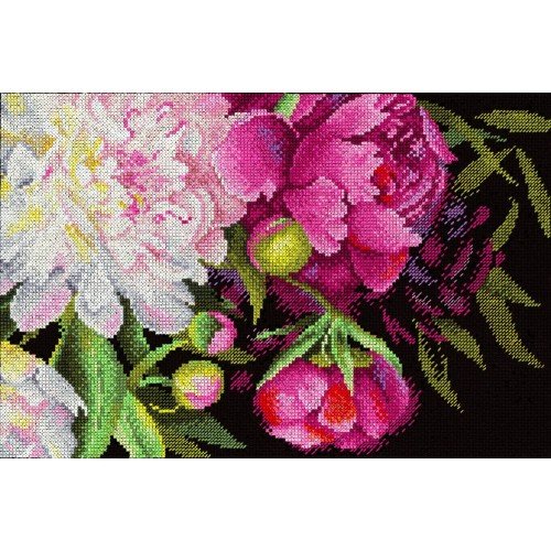 MP Studia - Royal peonies