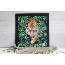 MP Studia - Master of the jungle