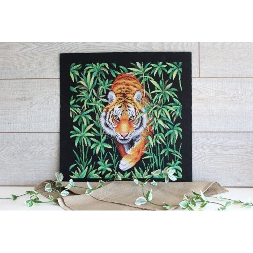 MP Studia - Master of the jungle