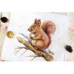 MP Studia - Fluffy beauty