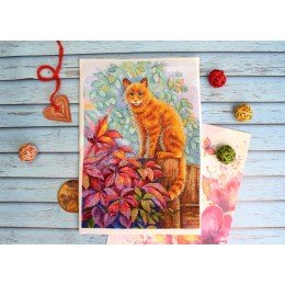 MP Studia - Villager