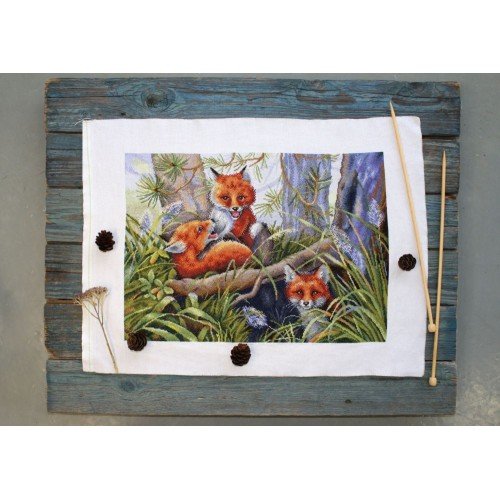 MP Studia - Funny games