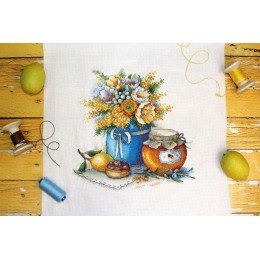 MP Studia - Honey pleasure