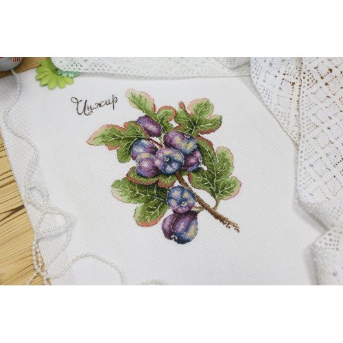 MP Studia - Nature gifts. Figs