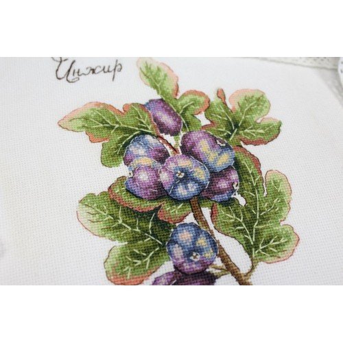 MP Studia - Nature gifts. Figs