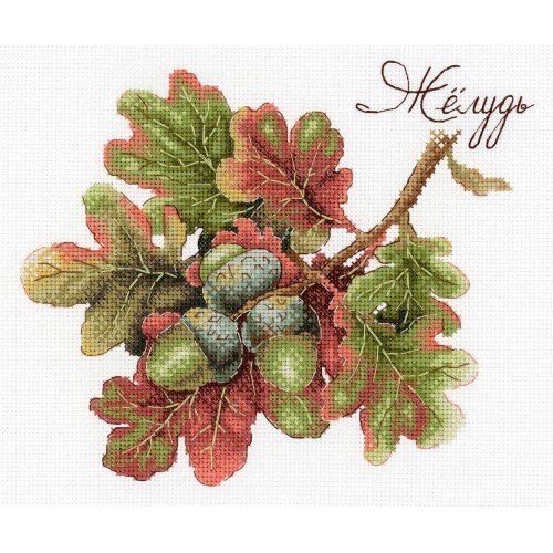 MP Studia - Nature gifts. Acorn
