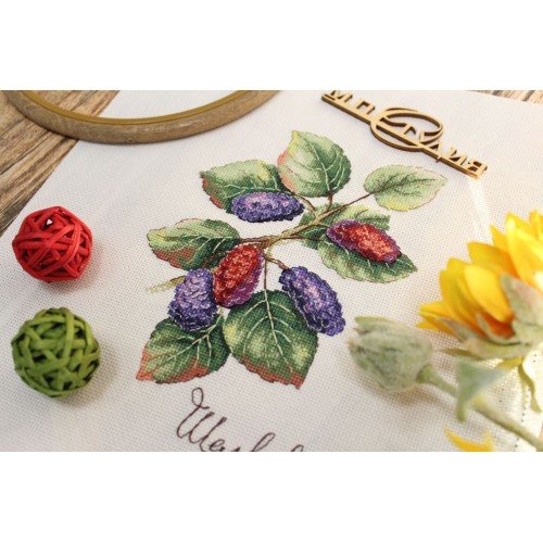 MP Studia - Nature gifts. Mulberry