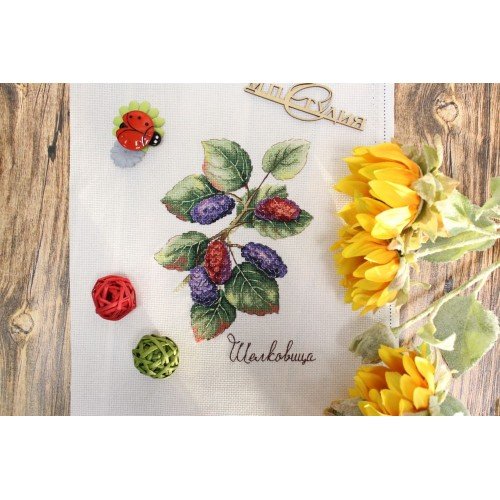 MP Studia - Nature gifts. Mulberry